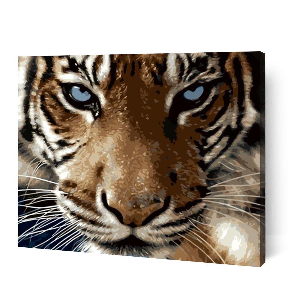 Blue Eyed Tiger - Paint Art Australia