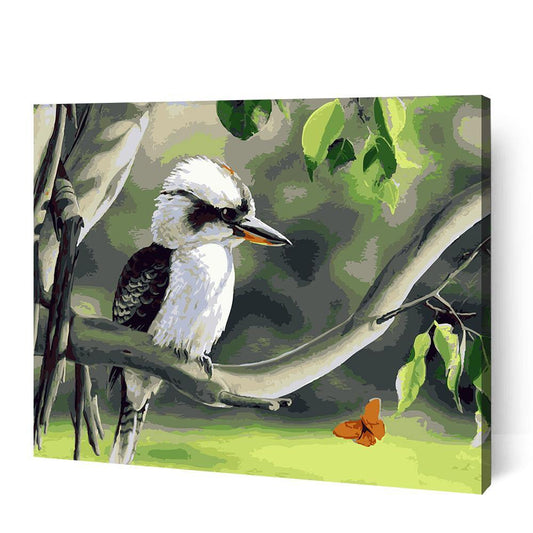 Kookaburra - Paint Art Australia