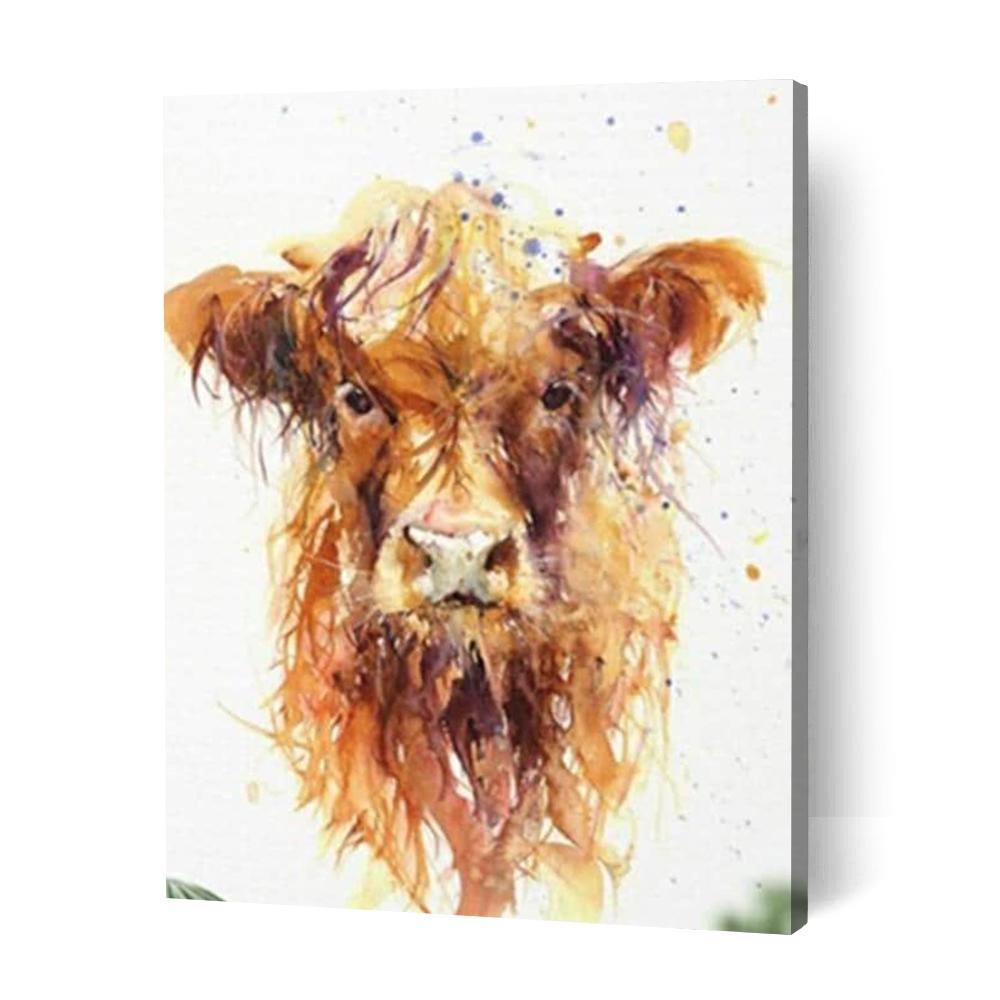 Highland Cow - Paint Art Australia