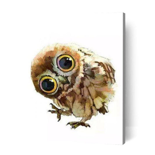 Cute Owl - Paint Art Australia